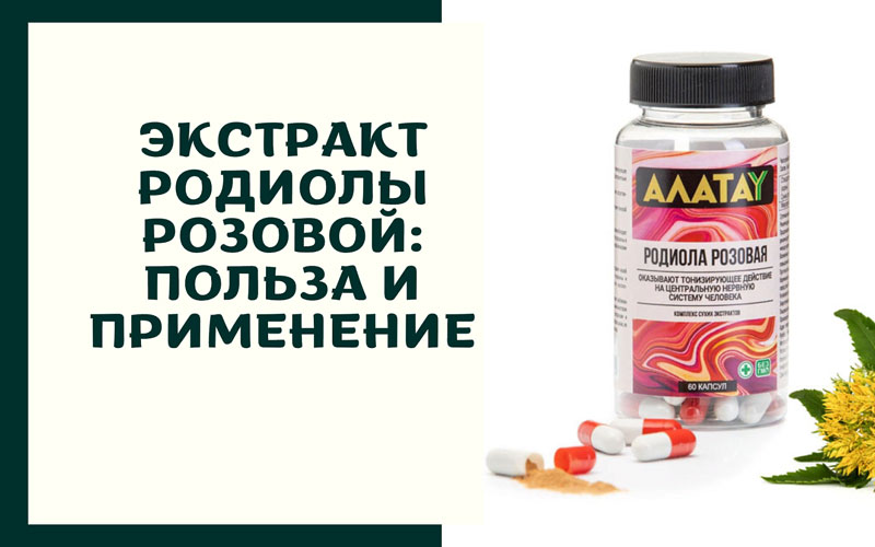 Экстракт родиолы розовой: польза и применение