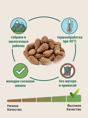 Мульча для сада из шишек целая 500 гр