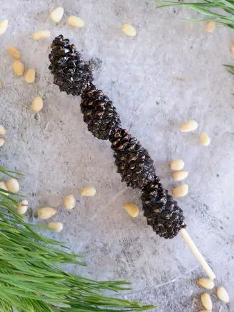 Подарочный набор «Волшебная тайга» 7 в 1