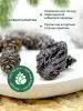 Цукаты из сосновых шишек 1 кг