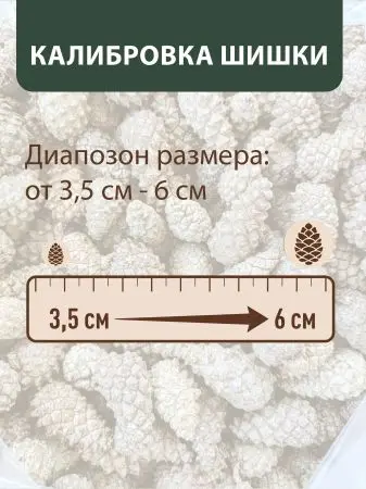 Мульча для сада из шишек целая 500 гр