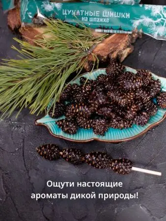 Цукаты из сосновых шишек на шпажке 25 гр Цукаты из сосновых шишек на шпажке 25 гр