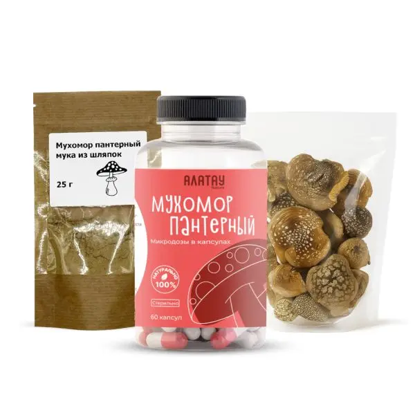 Комбо набор Пантерный 3в1: микродозинг из мухомора, сушеные шляпки и мука из шляпок
